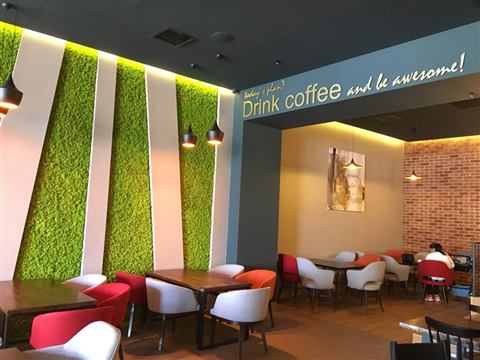 Perete de licheni stabilizați – GJC Sun Plaza, foto 16 din 19